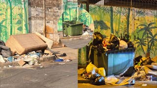 Surco: vecinos reportan que roedores ingresan a condominio tras acumulación de basura