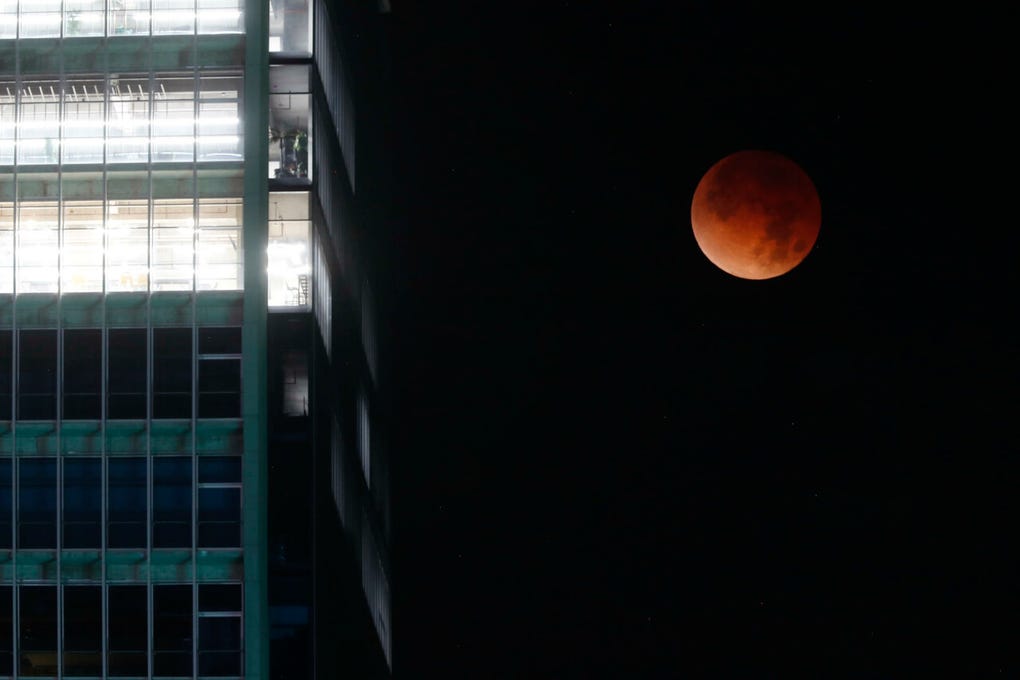 La Luna de sangre pudo observarse en Australia, en todo el Pacífico y en América central y del norte, y en algunos puntos del oeste de Sudamérica.