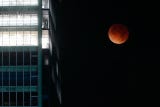 La Luna de sangre pudo observarse en Australia, en todo el Pacífico y en América central y del norte, y en algunos puntos del oeste de Sudamérica.