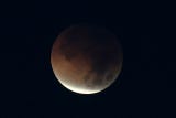 En Asia central y la mayor parte de Sudamérica, solo se observará un eclipse parcial, mientras que el fenómeno no será visible desde África ni Europa, detalló la NASA en su página web.