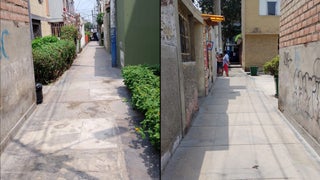 Vecinos de la Unidad Vecinal del Rímac denuncian que perros agresivos atacan y matan a sus mascotas [VIDEO]