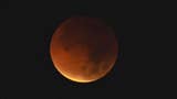 ¡La Luna se tiñó de rojo! Eclipse lunar total provocó impresionante cambio de color en nuestro satélite [FOTOS]