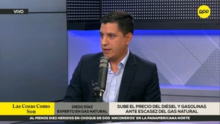“El Estado debe asegurar abastecimiento de combustibles líquidos que son sustitutos del gas natural”, señala experto