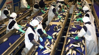 Industrias, generadoras eléctricas, y otros sectores podrían tener prioridad en el racionamiento de gas natural