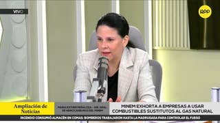 Gobierno sobre usar el fondo para frenar el alza de la gasolina: 