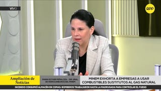 Gobierno sobre usar el fondo para frenar el alza de la gasolina: 