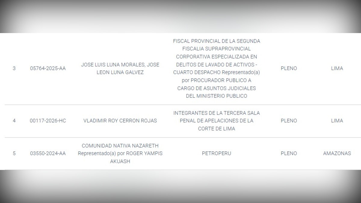 En la programación de audiencias del TC para este miércoles 11 de marzo, en la relación de seis audiencias, dos corresponden a casos de candidatos presidenciales