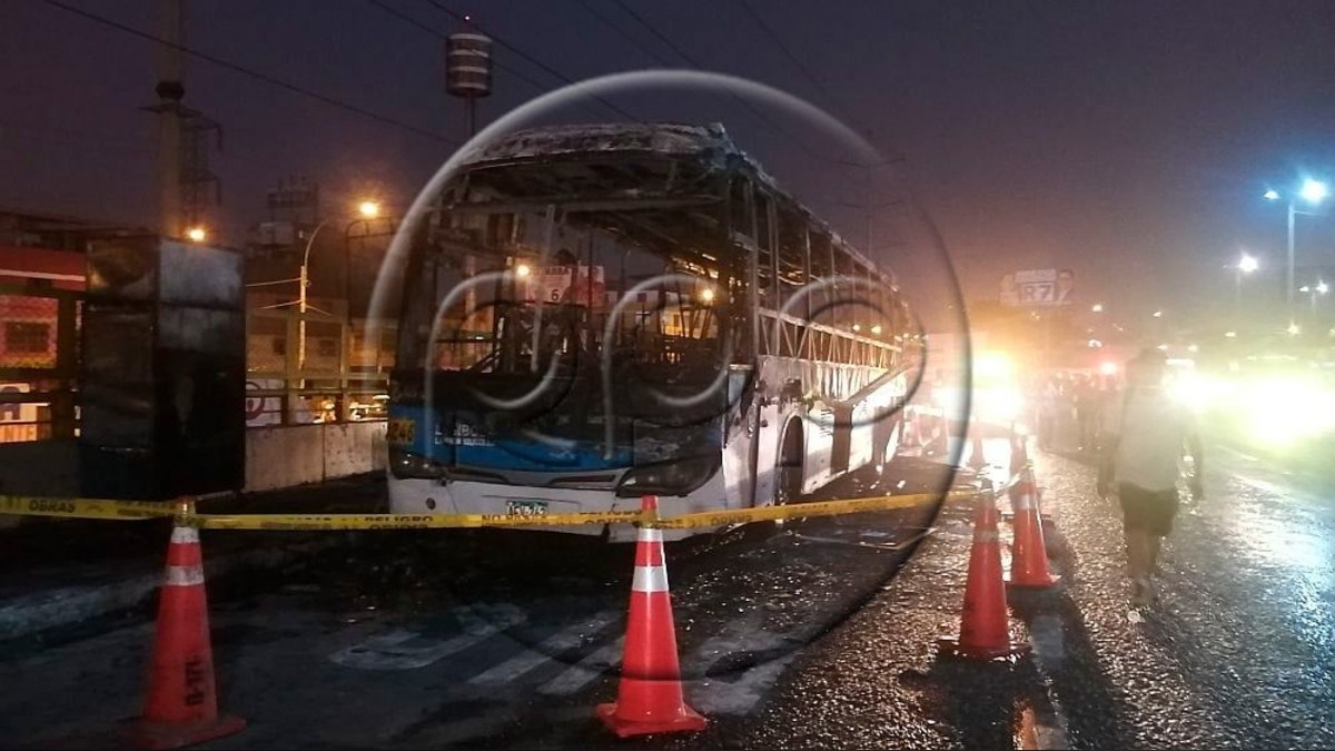 Imagen artículo