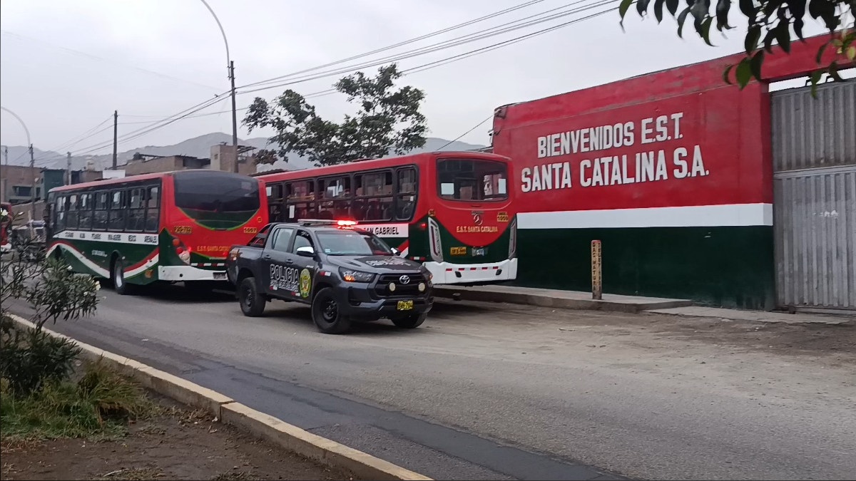 Imagen artículo