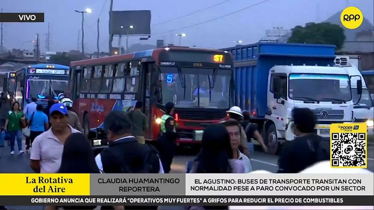 Imagen artículo