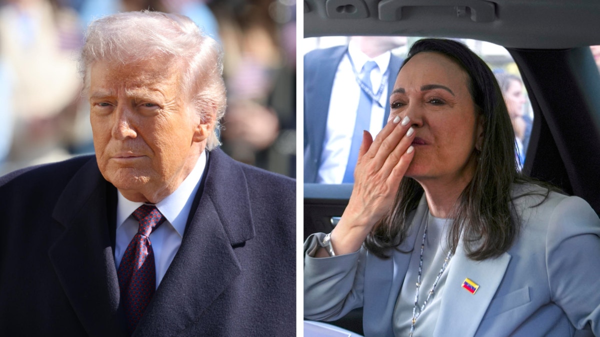 Imagen artículo