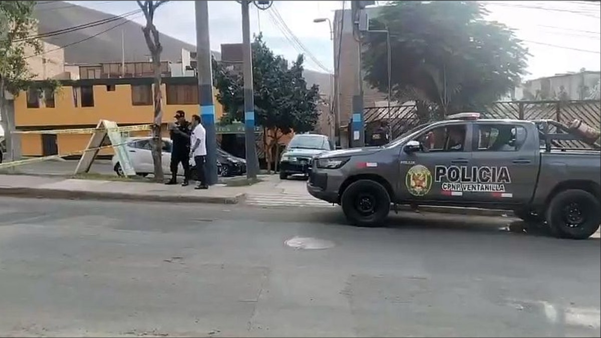 Imagen artículo