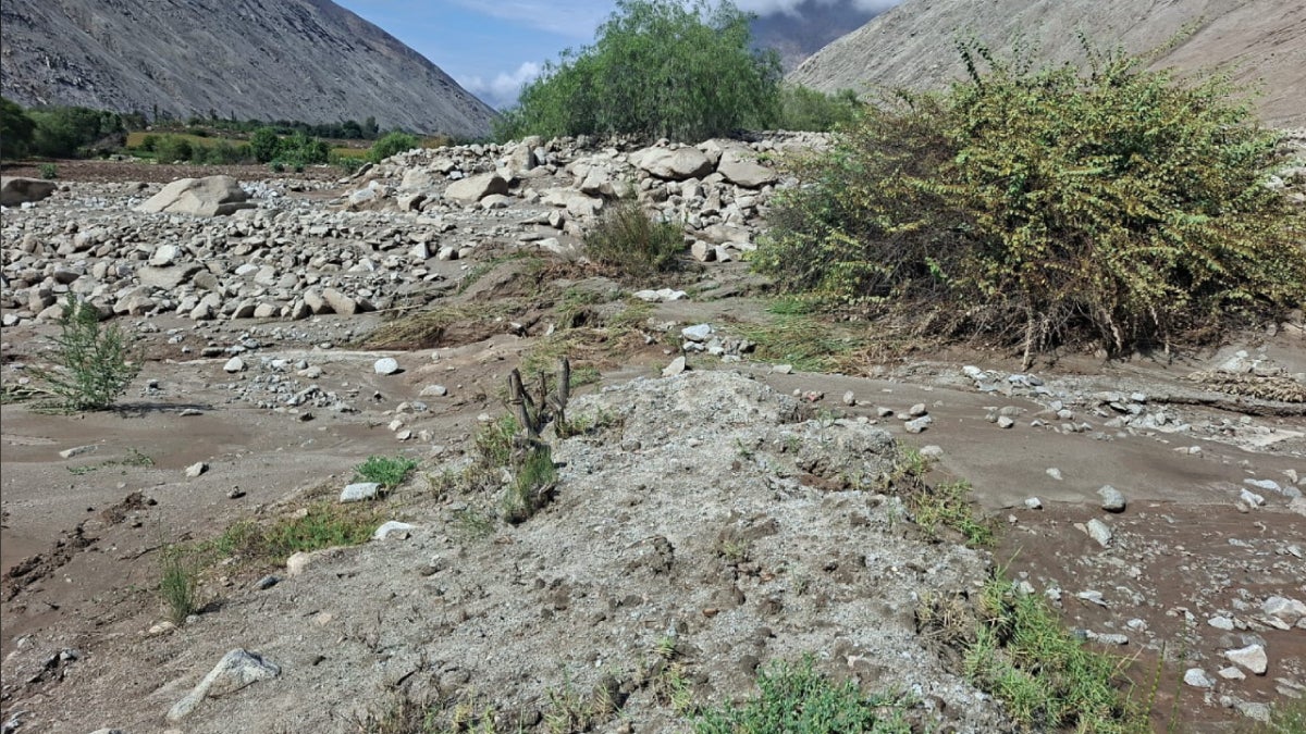 La gente tiene que ir al río más cercano porque toda la zona está seca y llena de tierra