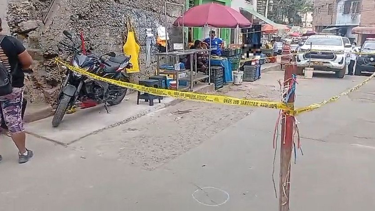 Sorry! Image not available at this time