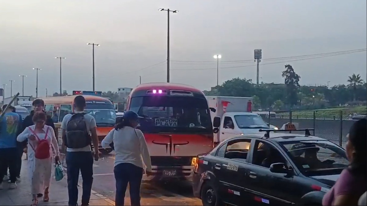 Imagen artículo