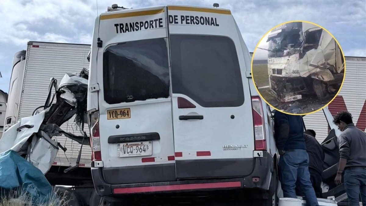 Imagen artículo