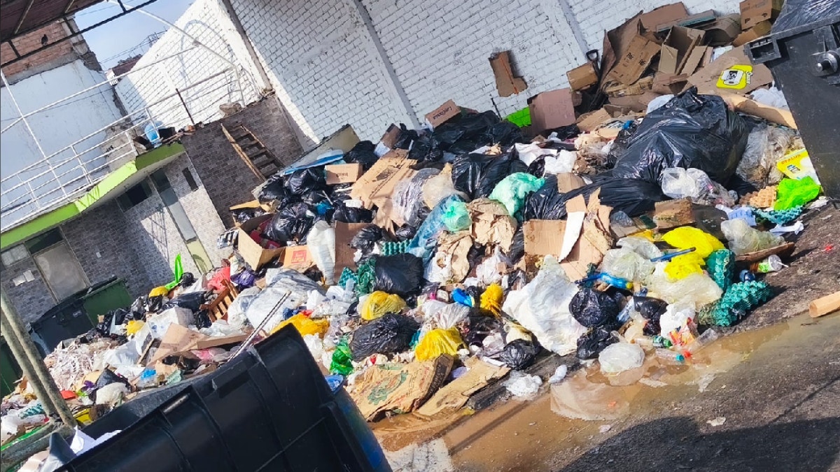 Bolsas de diferentes tipos y variedades de productos malogrados entre la basura