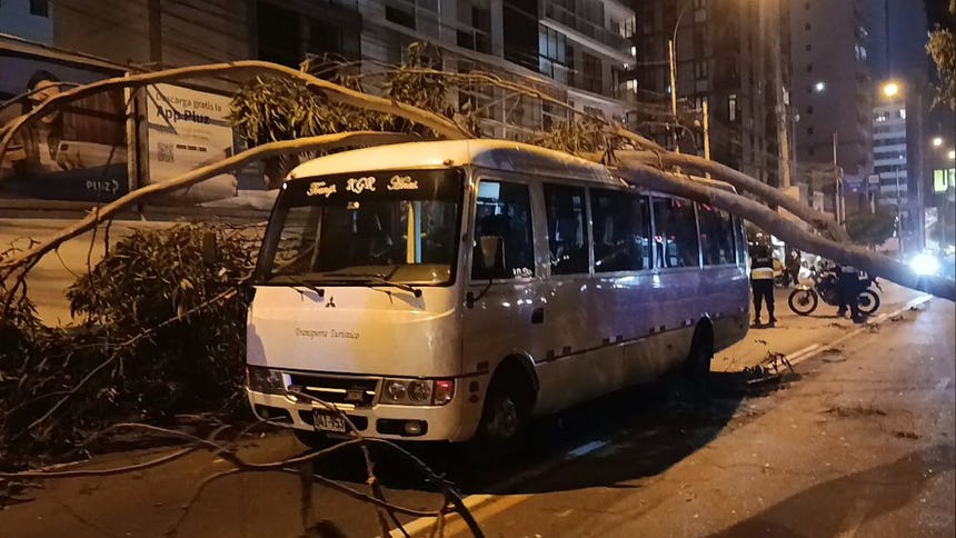 Pudo ser una tragedia: árbol cayó sobre cúster llena de escolares en Jesús María