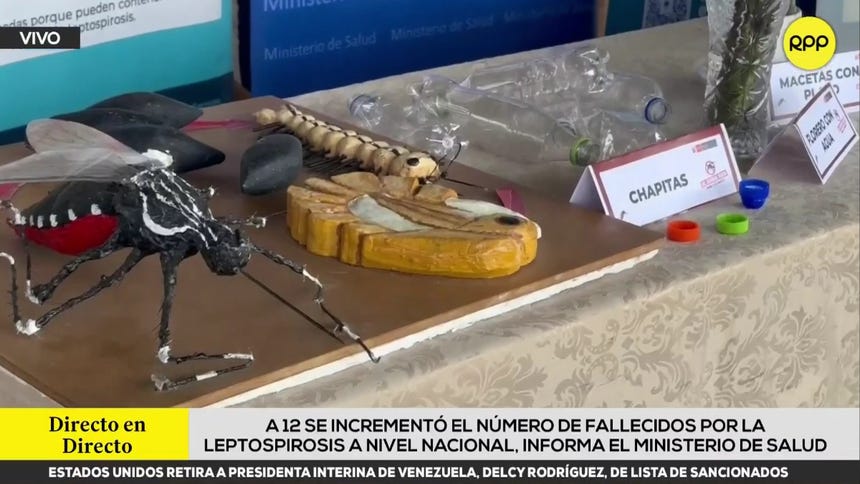 Incrementó a 12 el número de fallecidos por leptospirosis a nivel nacional, según Minsa