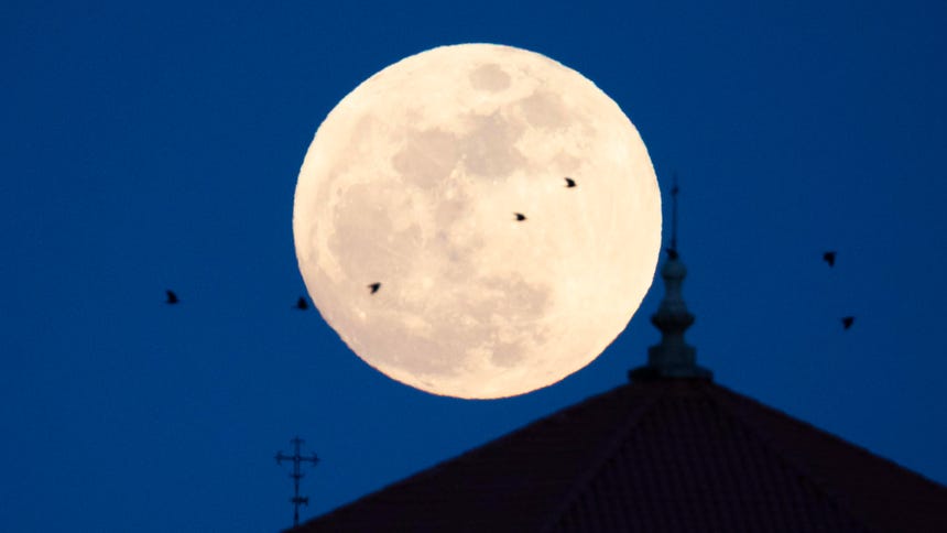La ‘Luna Rosa’ iluminó el firmamento: fenómeno astronómico pudo verse alrededor del mundo [FOTOS]
