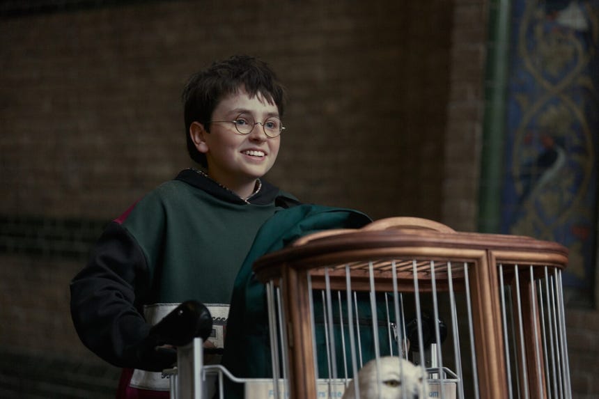 Junto a Dominic McLaughlin como Harry Potter, la nueva serie de HBO presenta a Alastair Stout como Ron Weasley y Arabella Stanton como Hermione Granger.