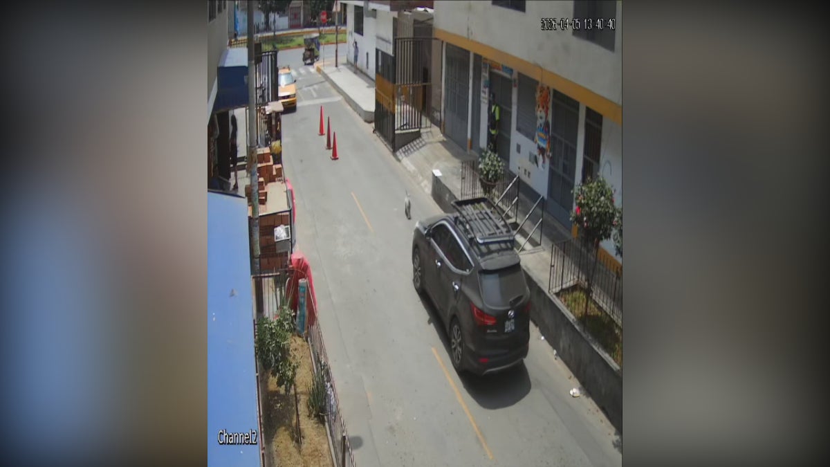 Conductora ignoró gritos de auxilio y abandonó a mascota herida en San Martín de Porres, según denunció Shari Ávila. 