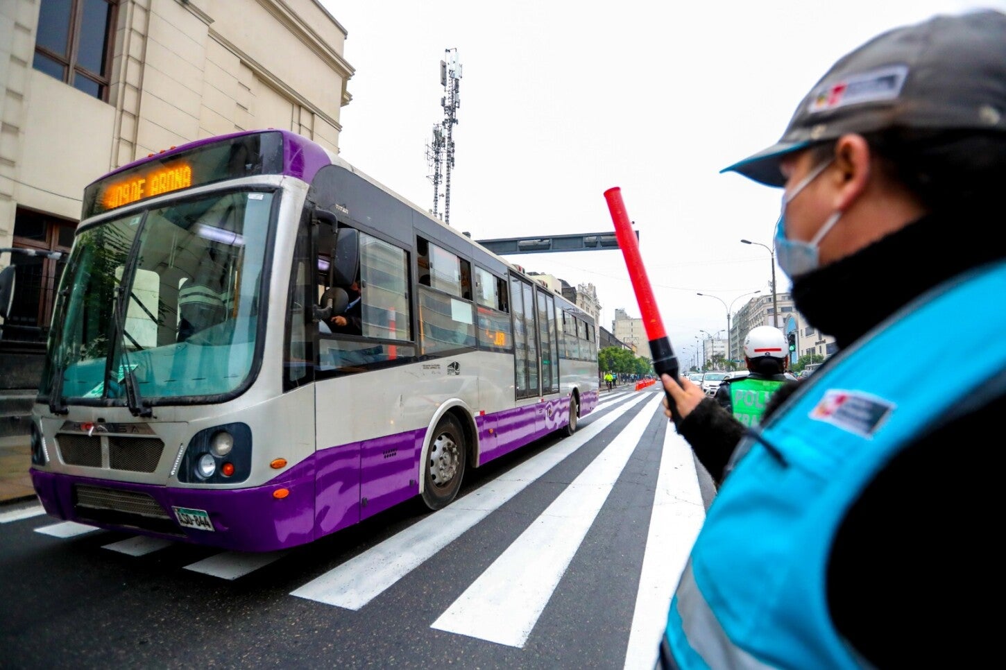 Corredor morado. 