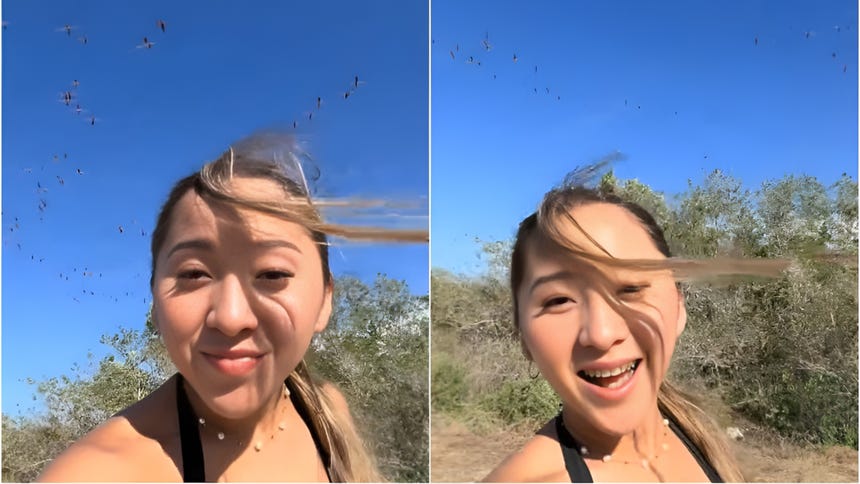 Video de influencer en área protegida de México provoca críticas e indignación en redes sociales