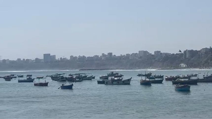 Pescadores de Chorrillos alertan que cambios en el oleaje afectan producción: 