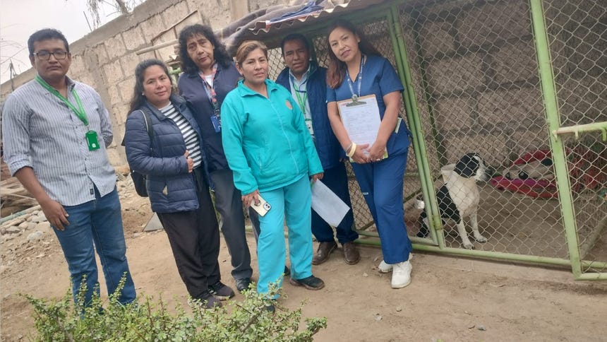 Arequipa: ¿qué más se sabe del caso del perro que atacó a 15 escolares en Majes?