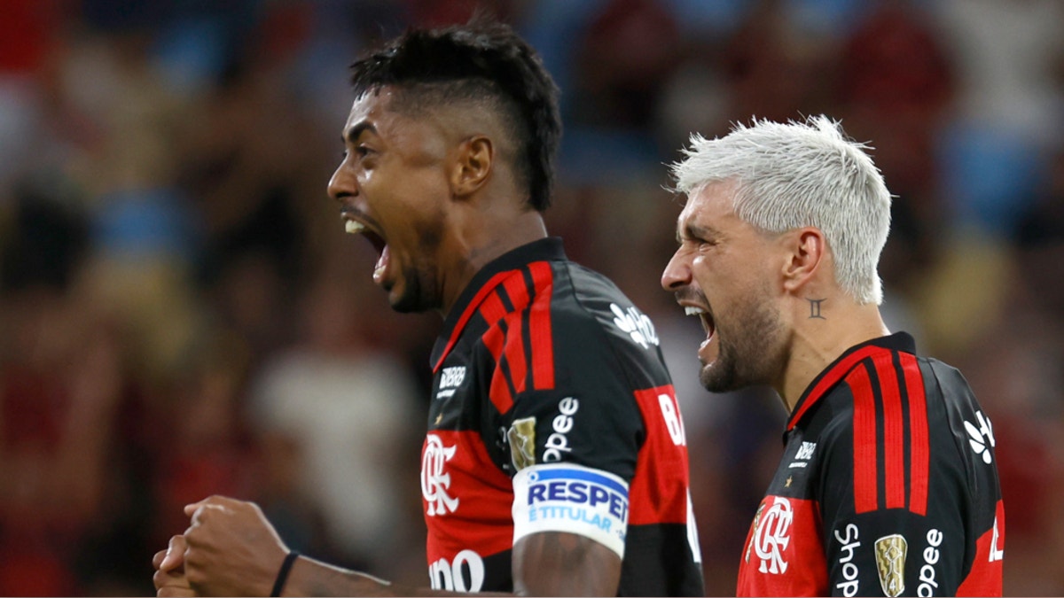 Sorry! Image not available at this time