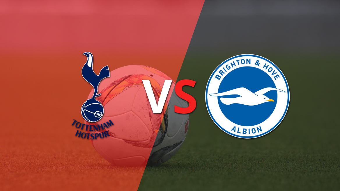 Tottenham quiere vencer y quitarle la racha positiva a Brighton and Hove
