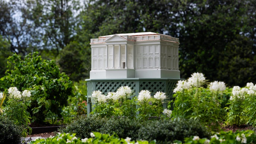 Melania Trump instala una nueva colmena en el jardín de la Casa Blanca para producir miel