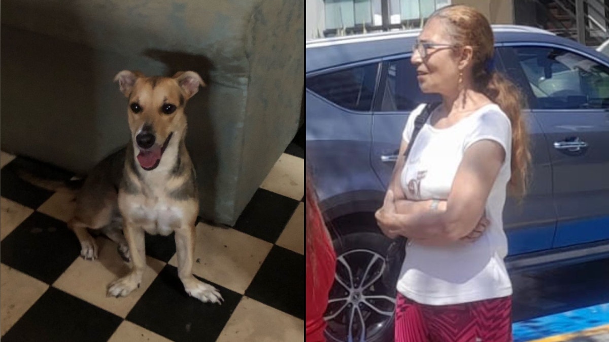 Pilar del Carmen Nava Tueros tiene 68 años, mide 1.67 metros, de contextura delgada, nariz recta, ojos y cabellos castaños.