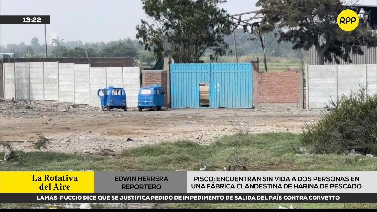Imagen artículo