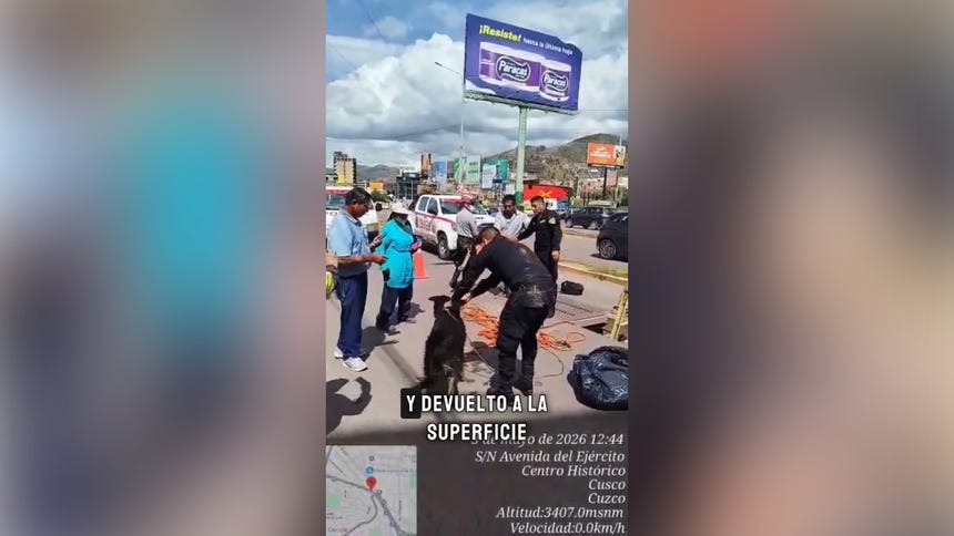 La Policía salvó a a un perro que qued atrapado en canal de desagüe en Cusco
