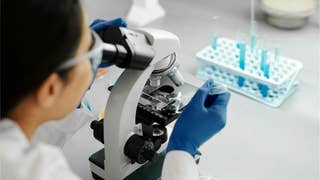 ¿Qué es el hantavirus, cómo se transmite y qué riesgo representa en la actualidad?: esto dice el epidemiólogo Percy Minaya