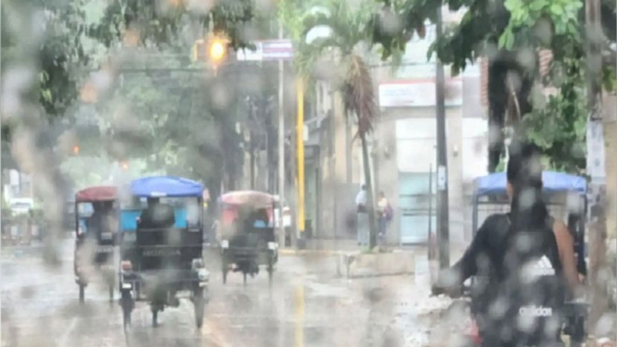 Imagen artículo
