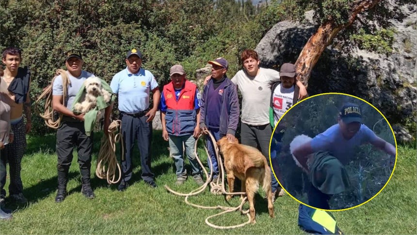 Policías rescataron a perrita ‘Pitufina’ que cayó a un abismo de cien metros en Cusco [VIDEO]