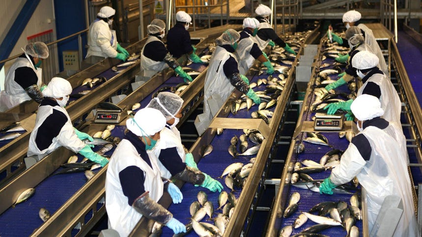 Adex: Número de empresas exportadoras creció 4.2 % en primer bimestre de 2026
