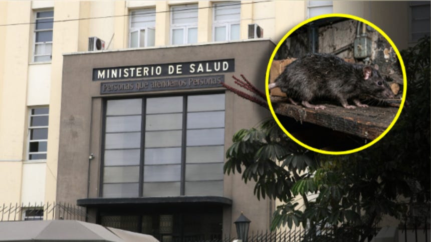Minsa se mantiene en vigilancia epidemiológica en aeropuertos y puertos ante casos de hantavirus en crucero