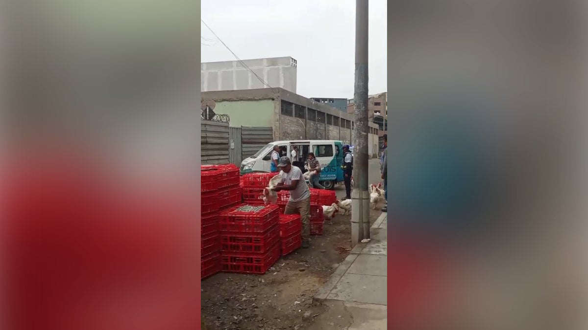 Los vecinos temen que la zona se convierta en un foco infeccioso. 