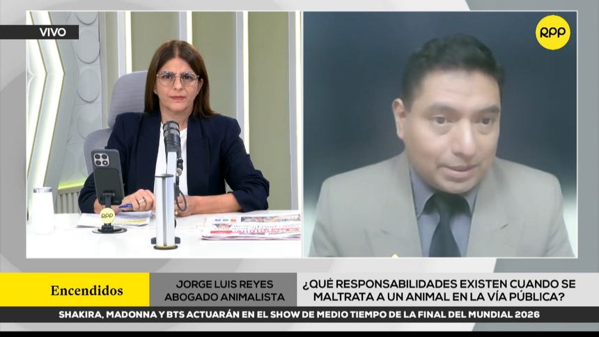 ¿Qué responsabilidades existen cuando se maltrata a un animal en la vía pública? Abogado lo explica
