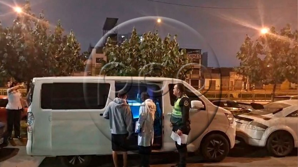 Imagen artículo