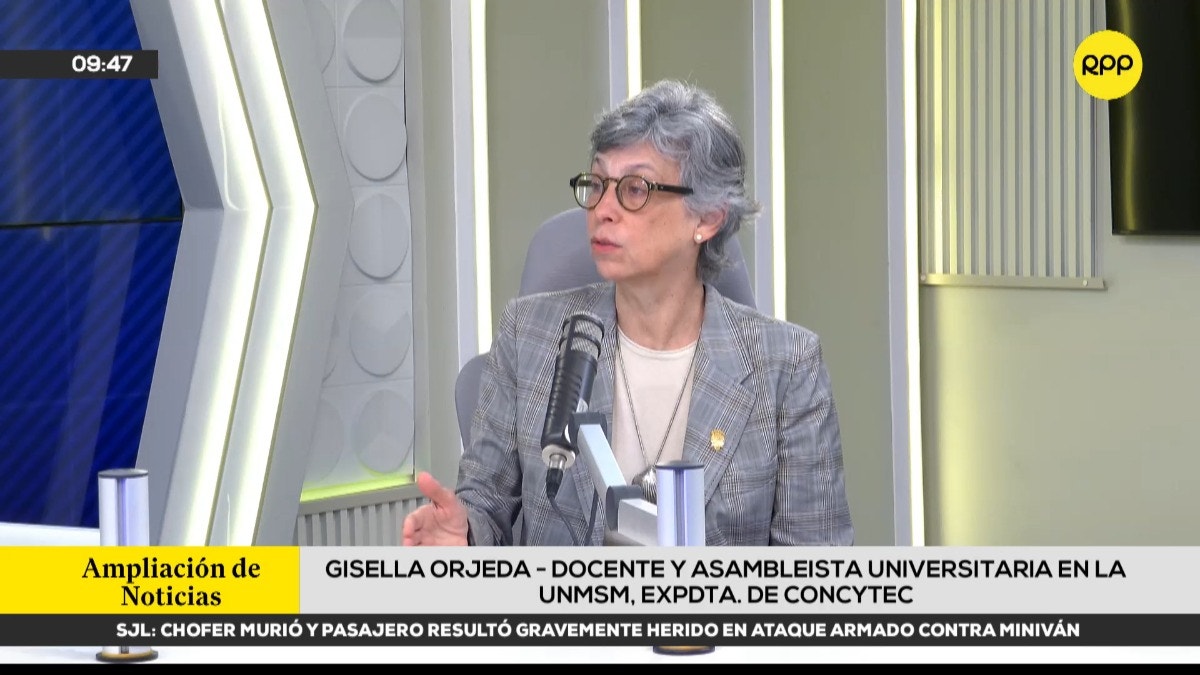 Docente de la UNMSM solicita sesión extraordinaria de la Asamblea Universitaria para abordar proyecto de ley, valla electoral y voto presencial