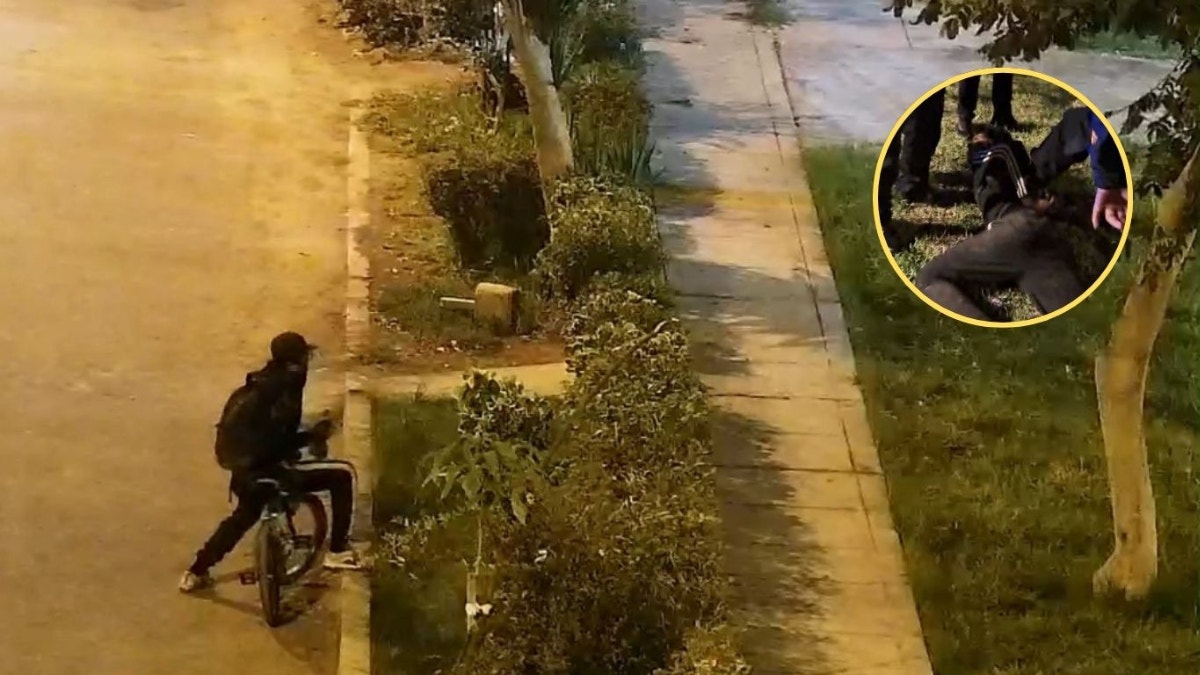 Imagen artículo