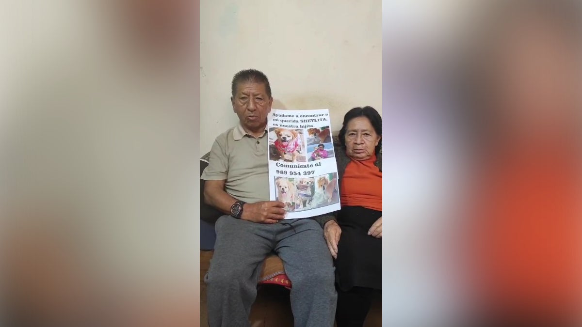 Pareja de adultos mayores pide ayuda de los vecinos para encontrar a su mascota. 