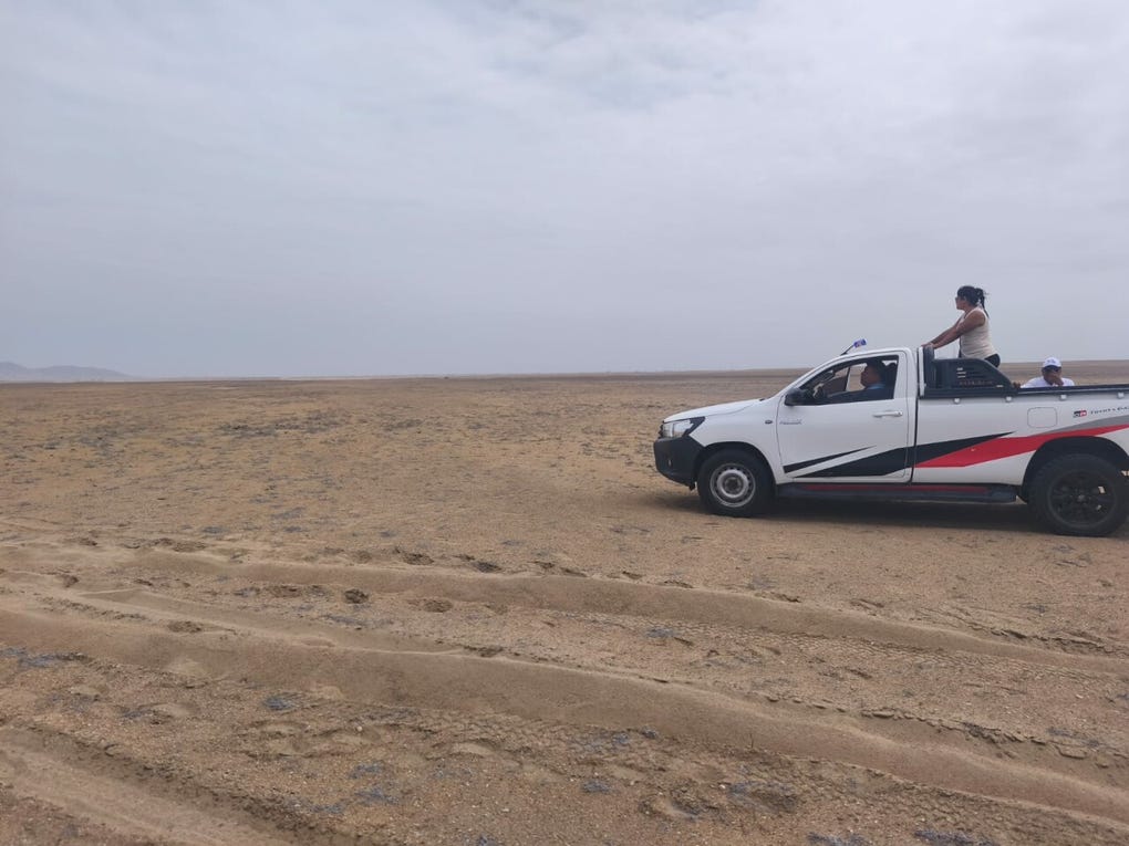 El área también se adecua para un recorrido de su Santidad en el papamóvil.