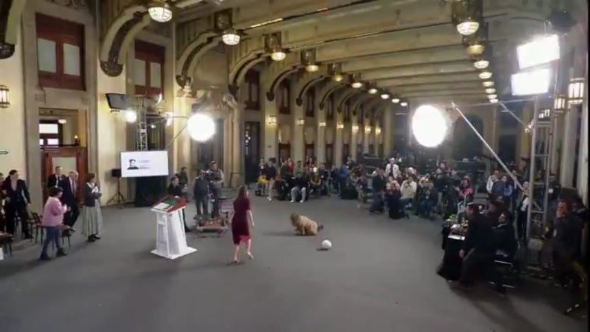 Momento de la caída. 