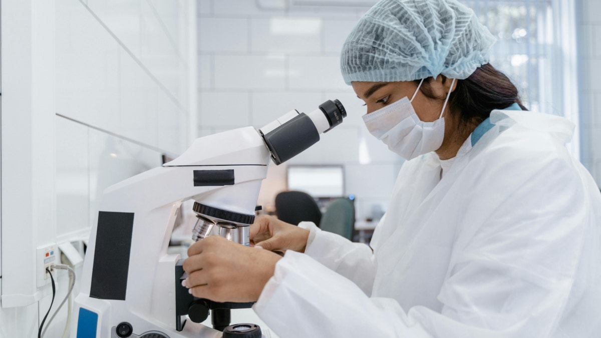 Un nuevo hallazgo sobre el cáncer de páncreas abre